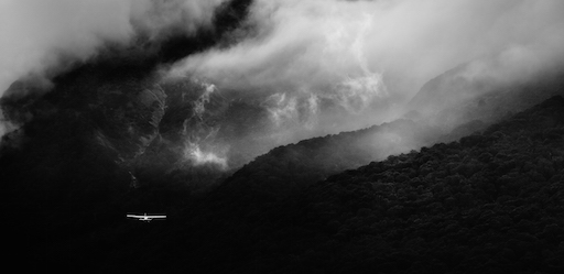 "Facing the Storm" - ©Carol Molineux